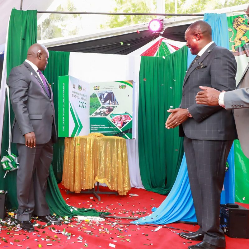 CIDP 2023-2027 has been unveiled 4