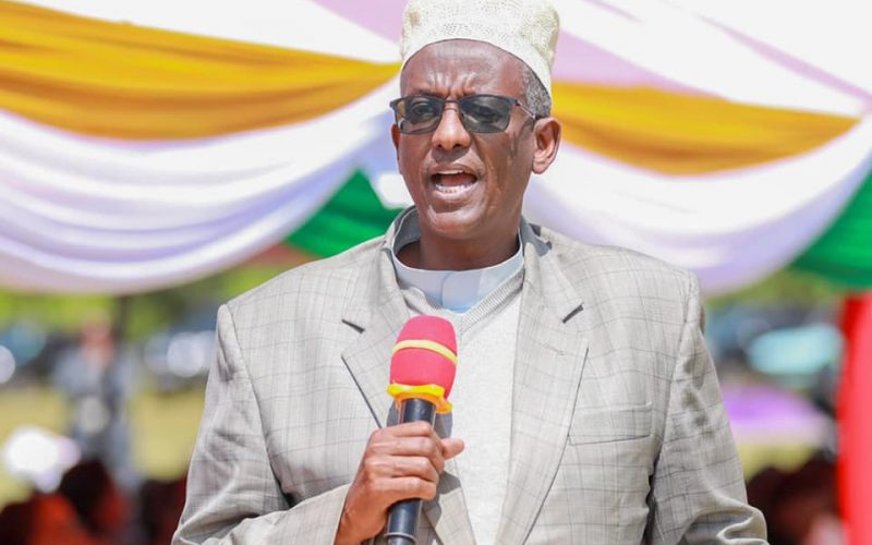 Nyandarua County Education day 11