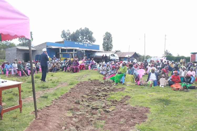 Co-ordinate of the distribution of subsidized fertilizer and certified artificial insemination (AI) programs 4