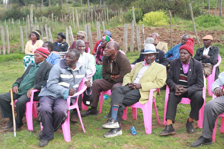 Co-ordinate of the distribution of subsidized fertilizer and certified artificial insemination (AI) programs 5