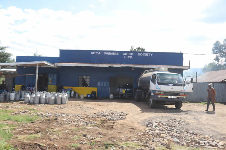 Co-ordinate of the distribution of subsidized fertilizer and certified artificial insemination (AI) programs 7