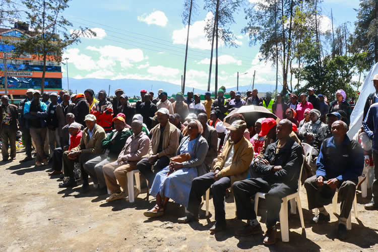 Government-subsidized fertilizers 3