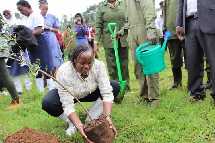 countering the adverse effects of climate change 3