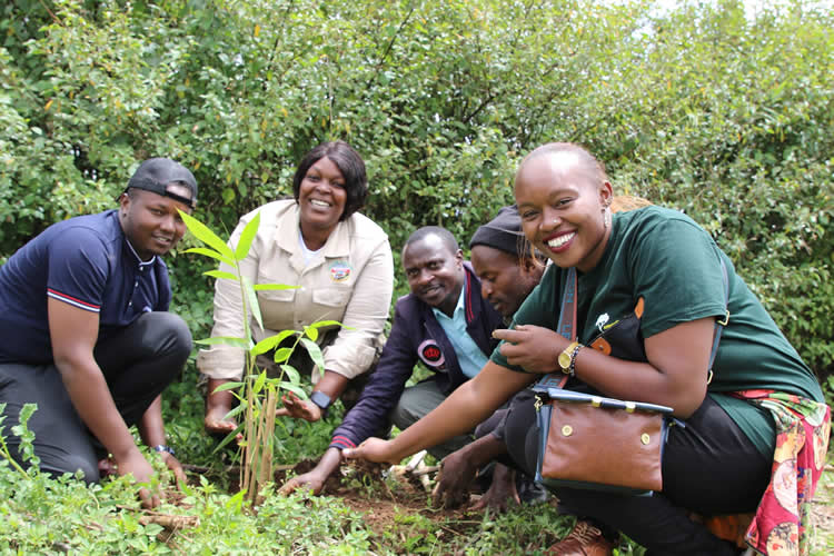 countering the adverse effects of climate change 8