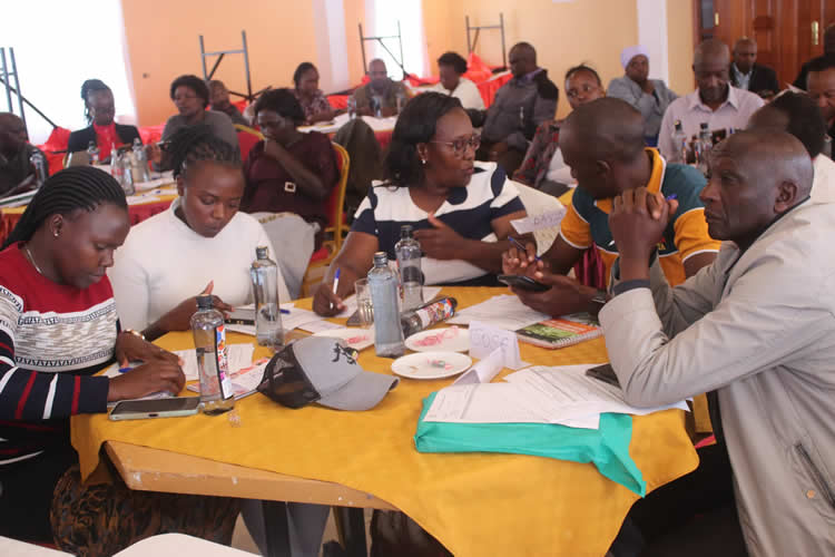 establishment of Farmers’ Field Business Schools (FFBS)