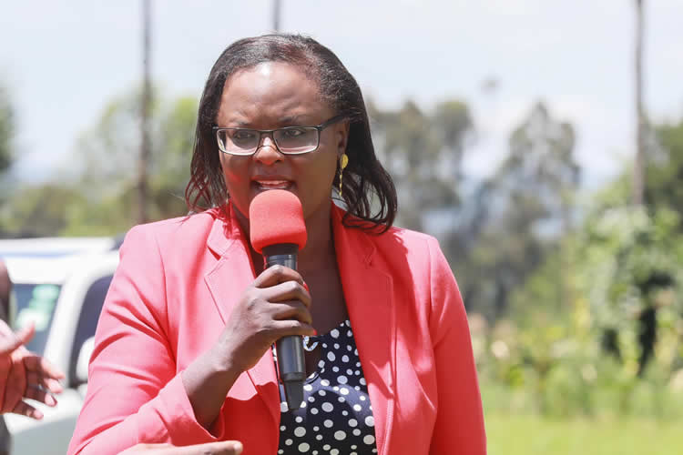 operations in all the county Vocational Training Centers 8