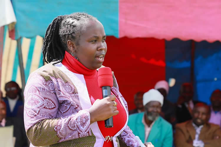 sensitization on the implementation of law against illicit liquor 7