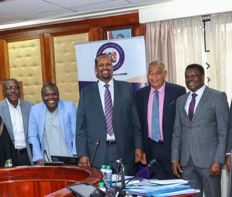 Governors meeting the Senate Committees on Finance and Budgeting at Parliament buildings 2