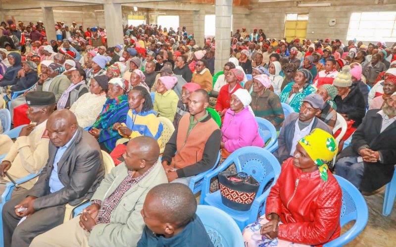 The Nyandarua County Heifer Project 5