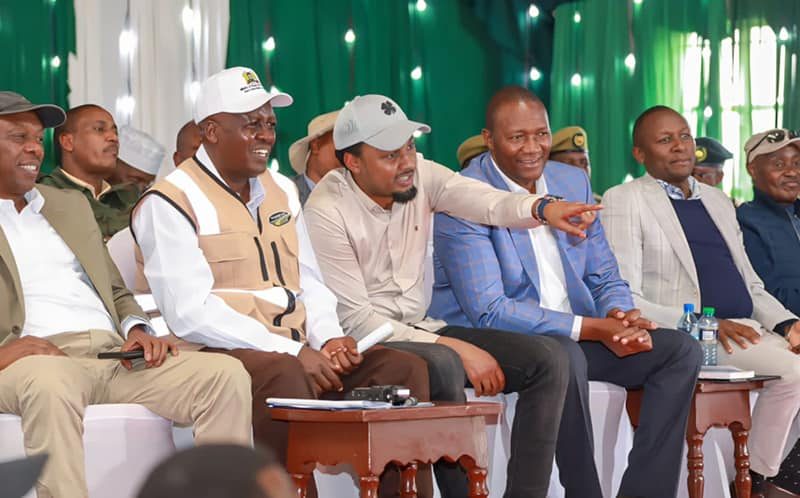 deliberations on the stalled Mau Mau flagship project 6