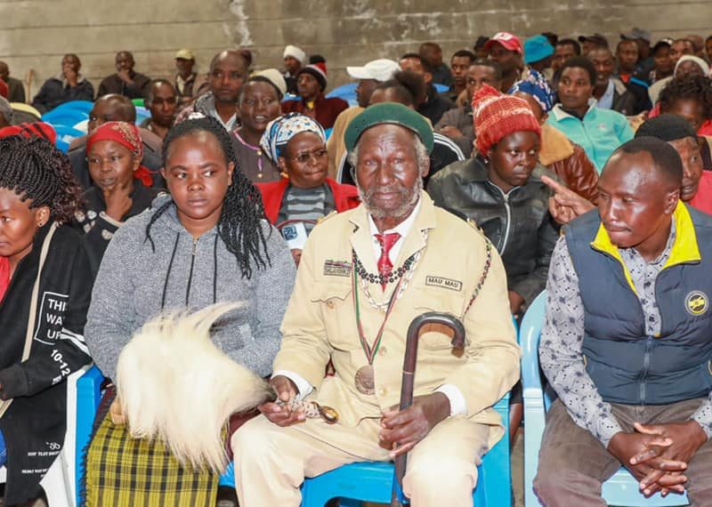 deliberations on the stalled Mau Mau flagship project8