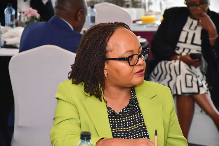 progress report on the region’s economic blueprint 6